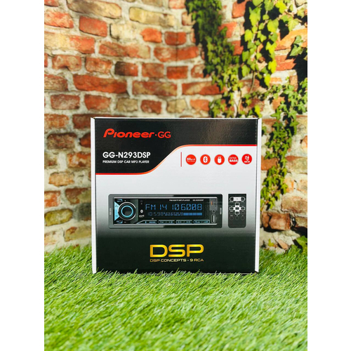 GG-N293DSP, изображение 1