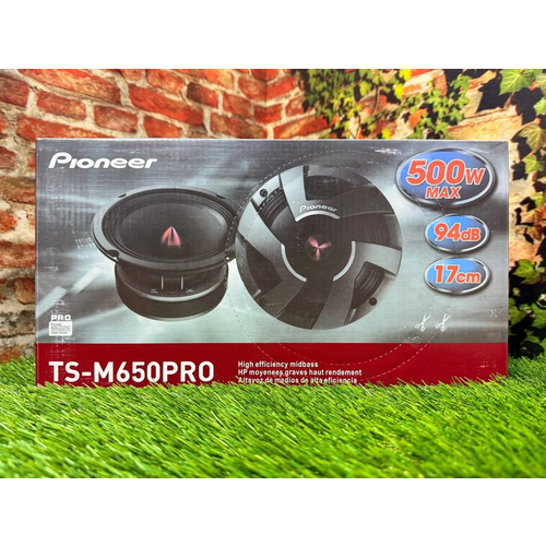 TS-M650PRO, изображение 1