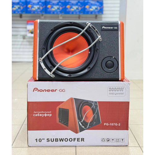 Pioneer.GG PG-107G-2„10”, изображение 1