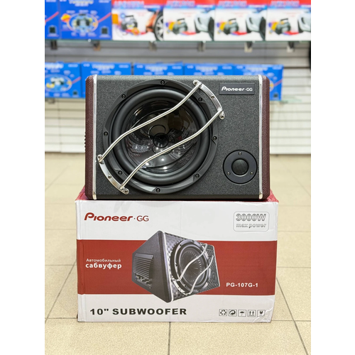 Pioneer.GG PG-107G-4, изображение 1