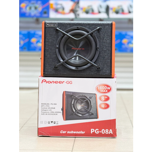 Pioneer . GG PG-8A, изображение 1