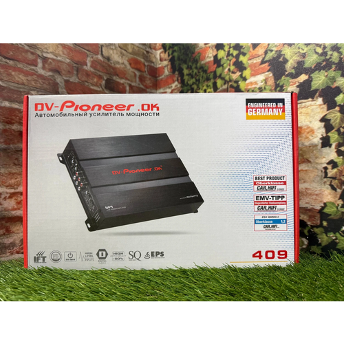 Dv-Pioneer.ok 409, изображение 1