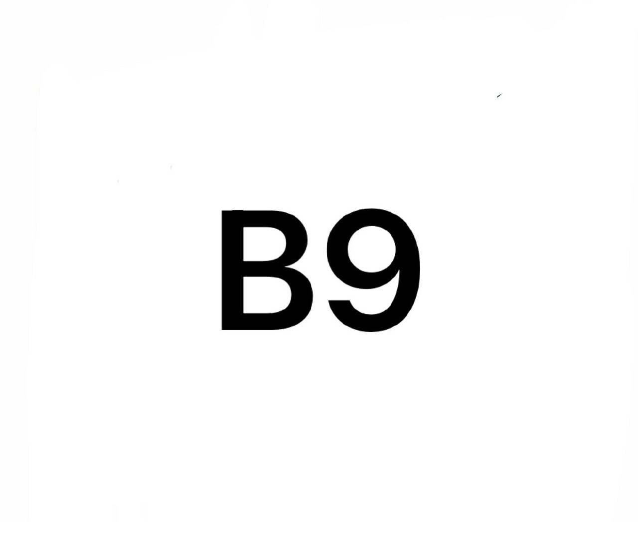B-9