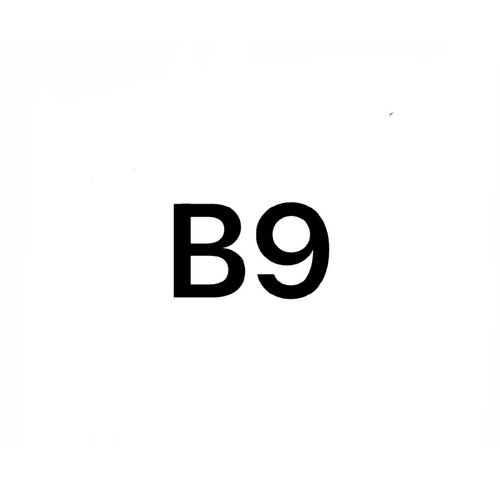 B-9, изображение 1